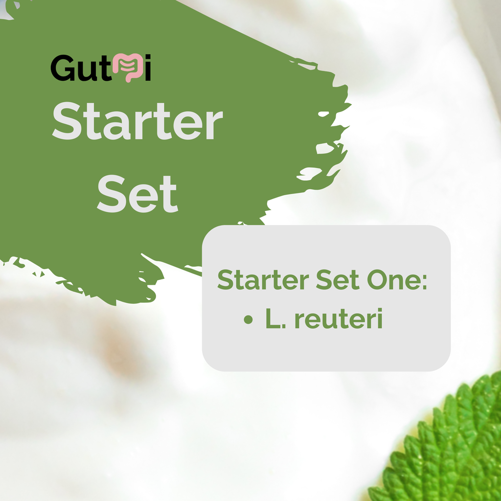 L. reuteri | Yogurt Starter Set | Starter Cultures | 3 Yogurt Starters